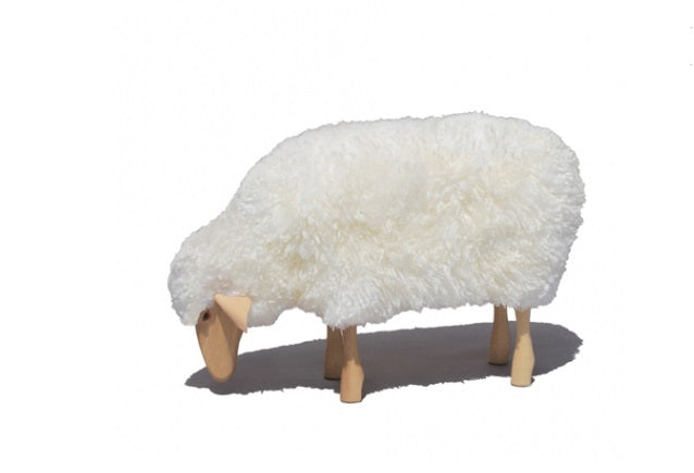 Schaf, klein, grasend, weißes Fell, Buche