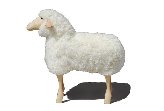 Schaf echtes Fell Lebensgröße Kiefer